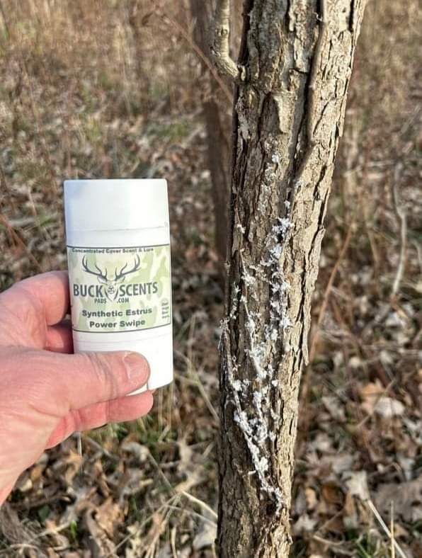 Buck Scent Pads Power Swipe