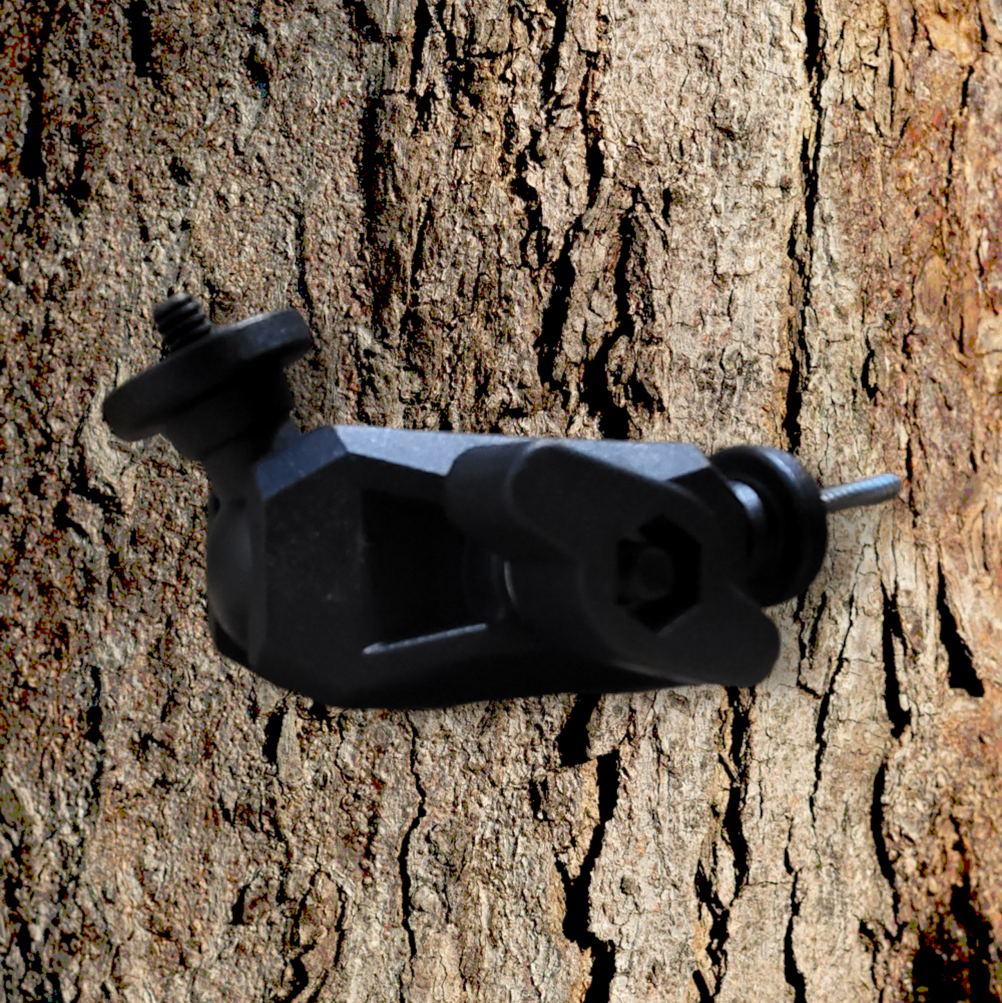 Camera/solar panel mount