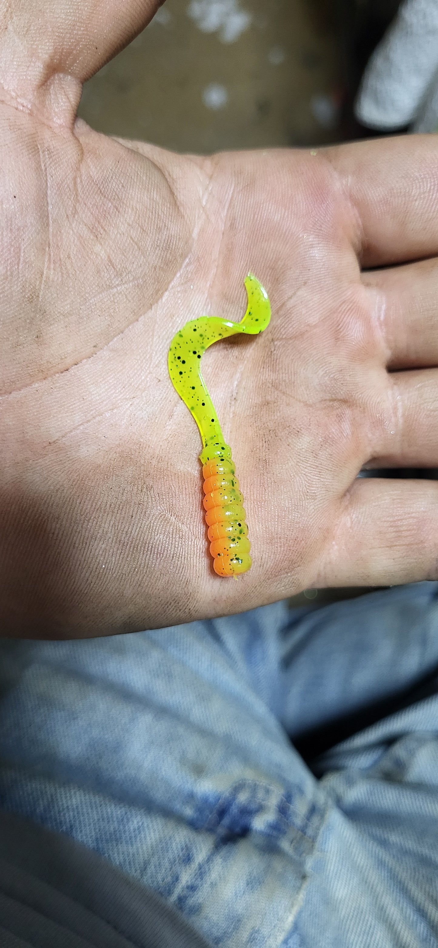 Curly Tail Grub