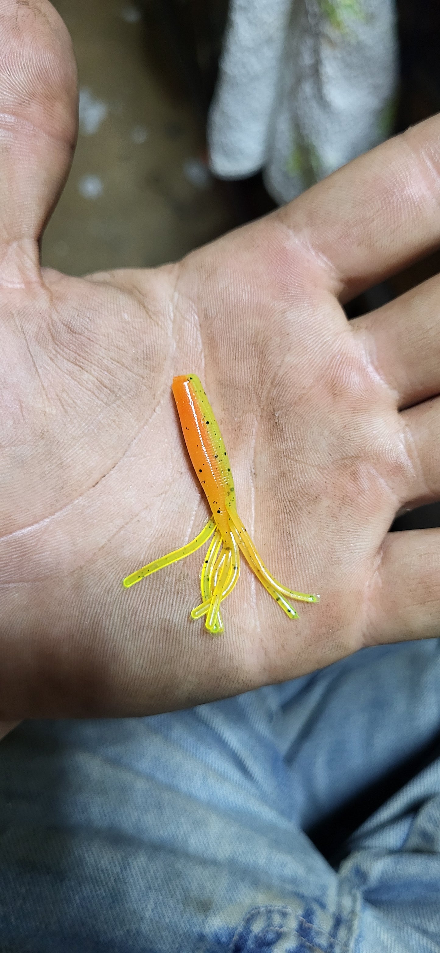 Tiny Willow