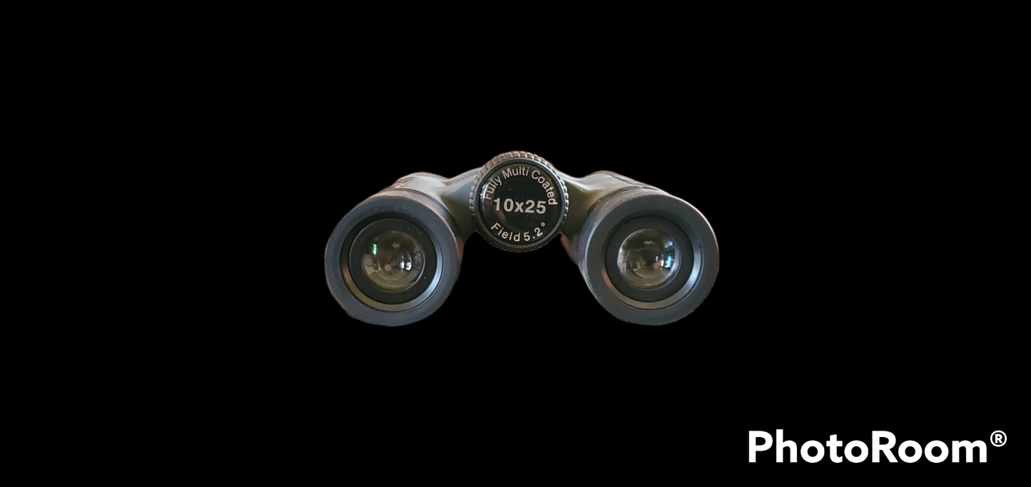 Prism Bak 3 10x25 Binos.