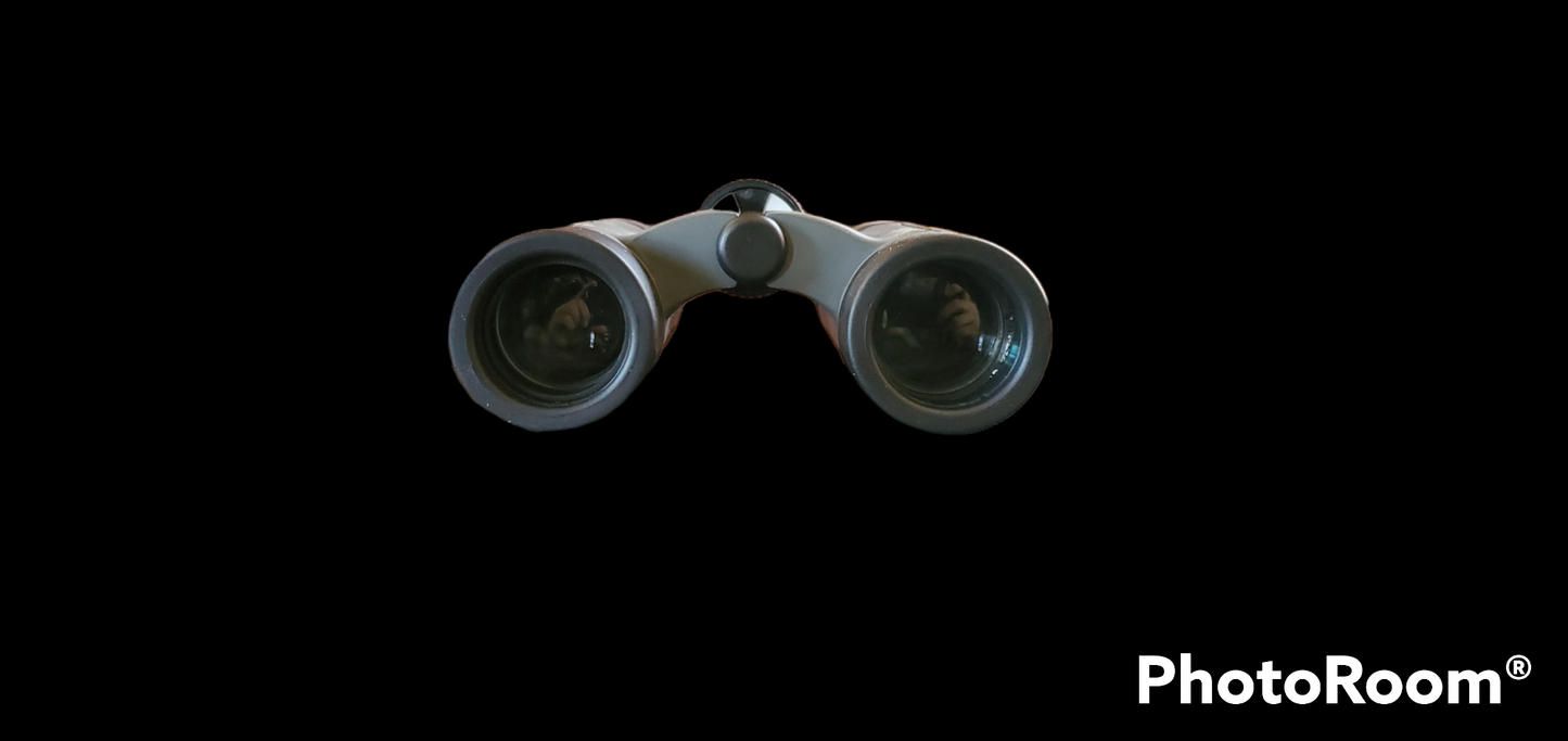 Prism Bak 3 10x25 Binos.