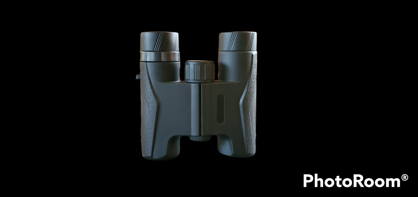 Prism Bak 4 10x25 Binos.