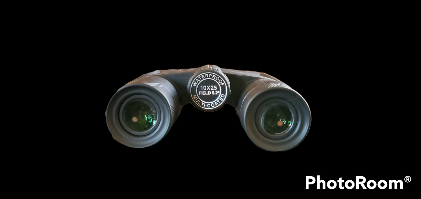 Prism Bak 4 10x25 Binos.