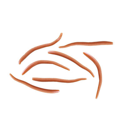 Berkley Gulp! Alive! Angle Worms