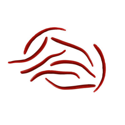 Berkley Gulp! Alive! Angle Worms