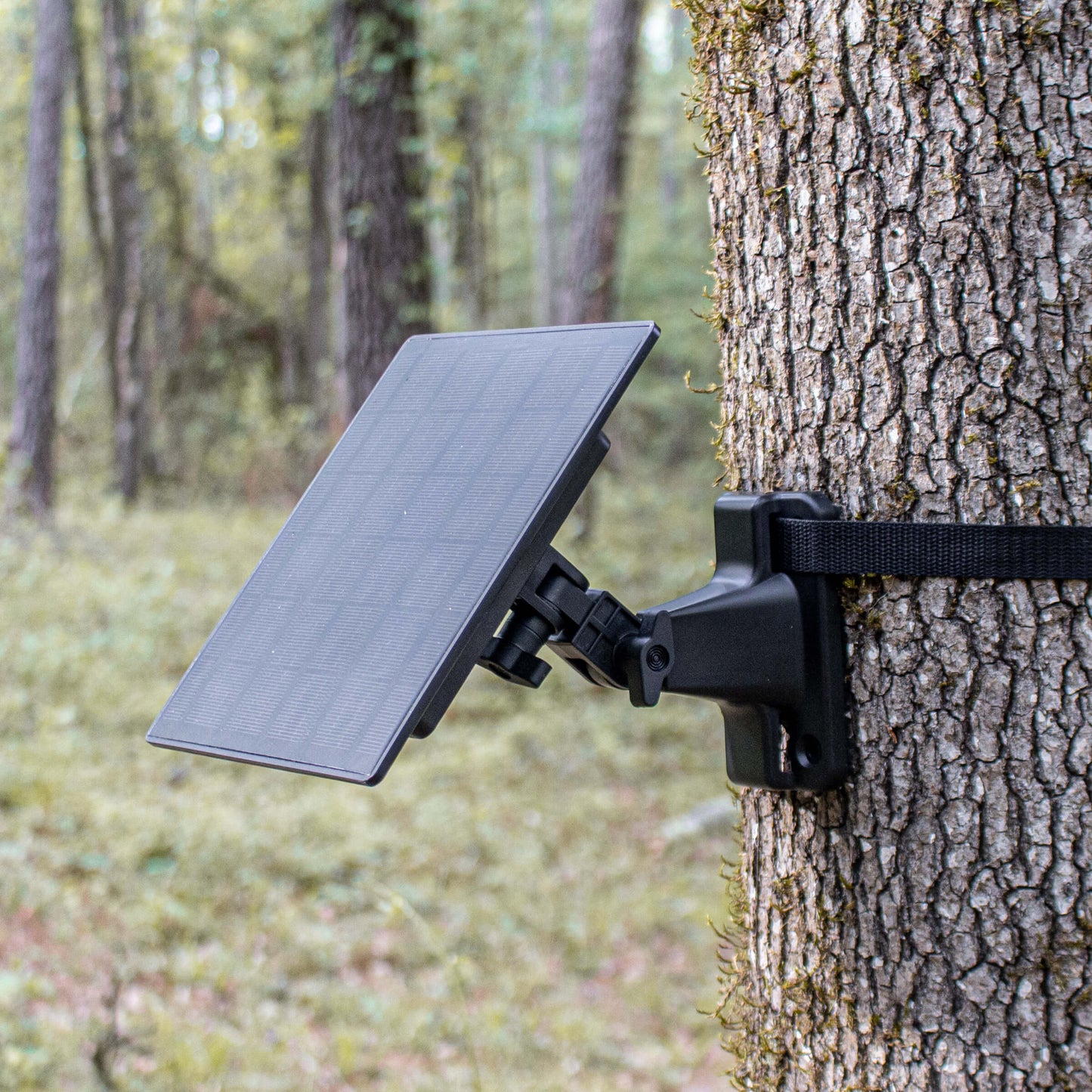 Solar Charger