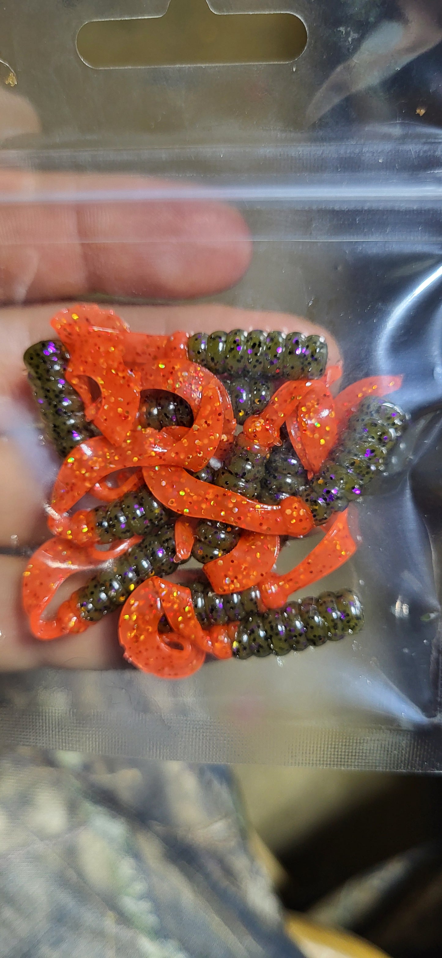 Curly Tail Grub
