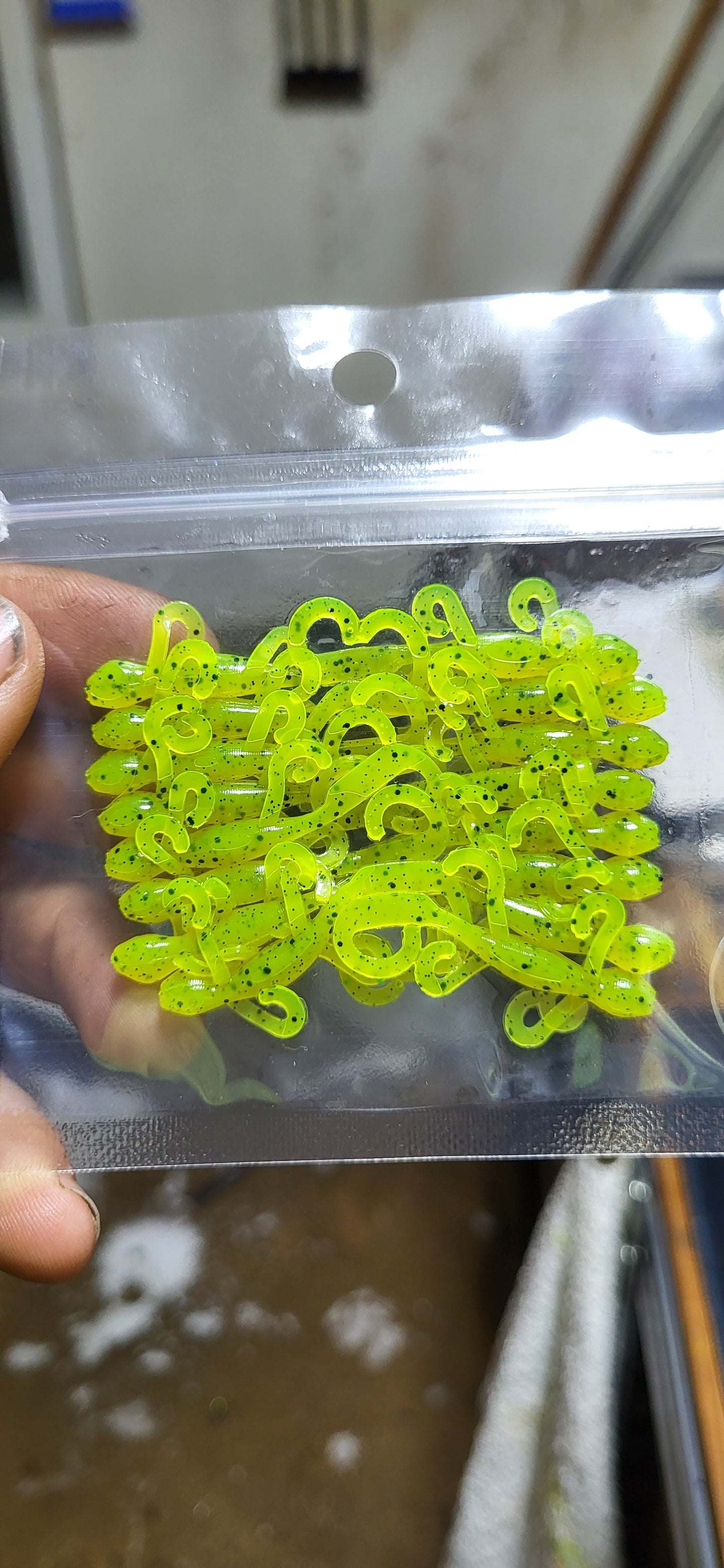 1.5" Lizard