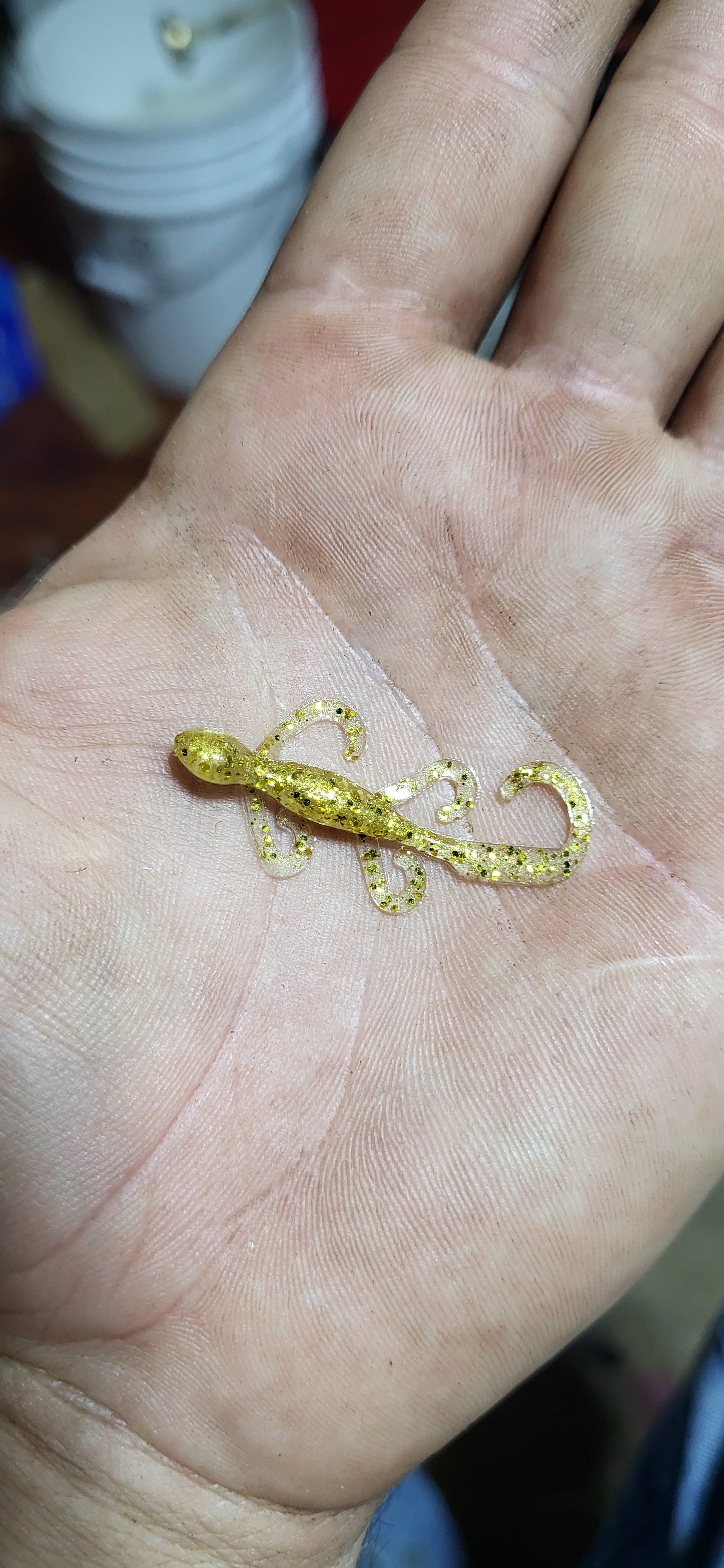 1.5" Lizard