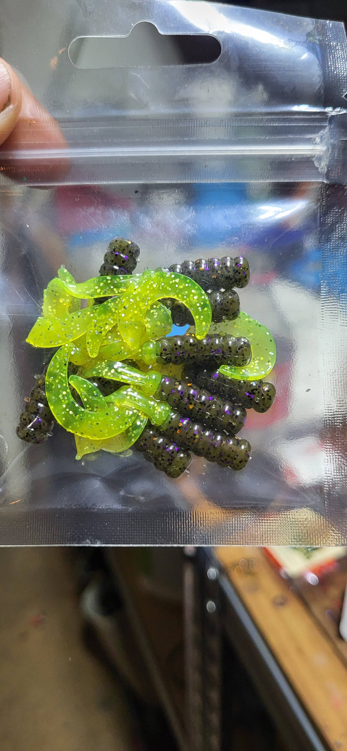 Curly Tail Grub