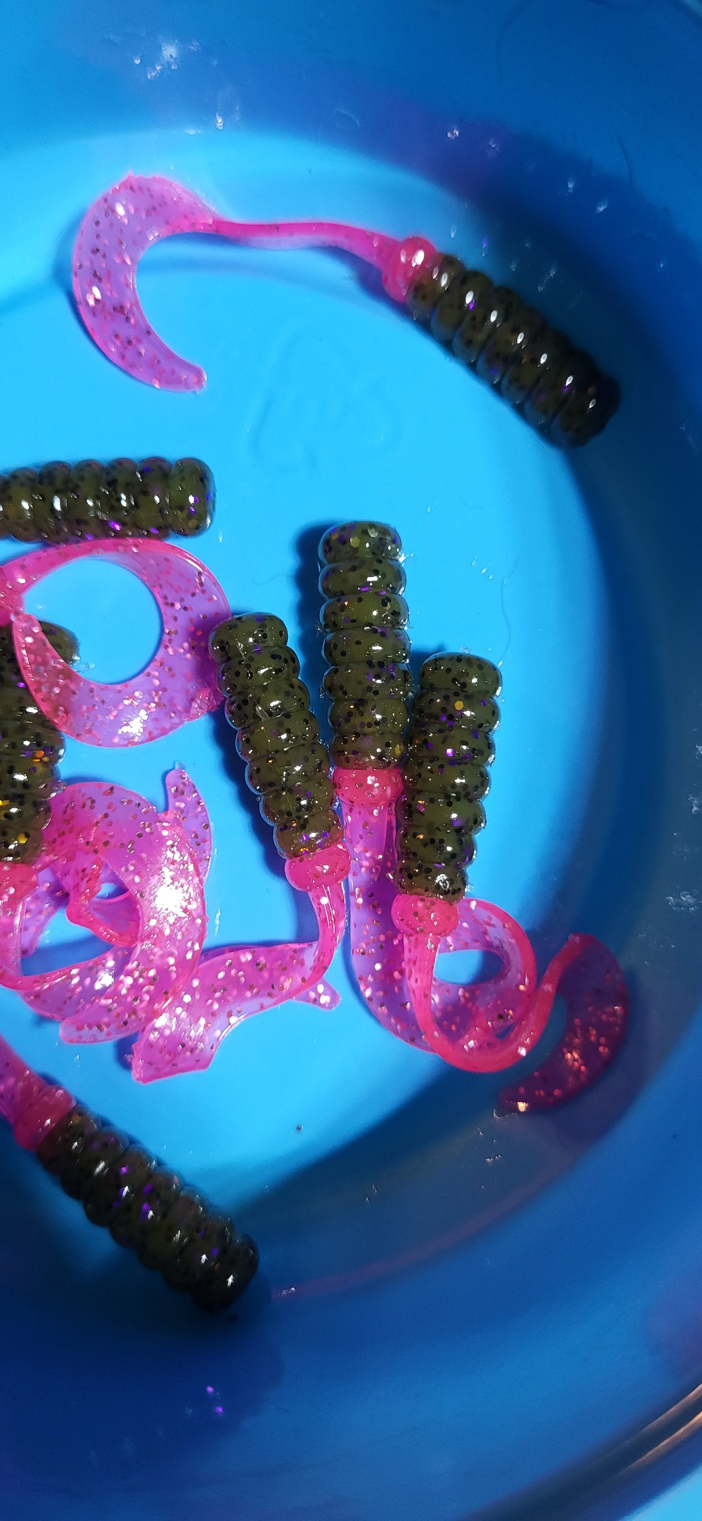 Curly Tail Grub