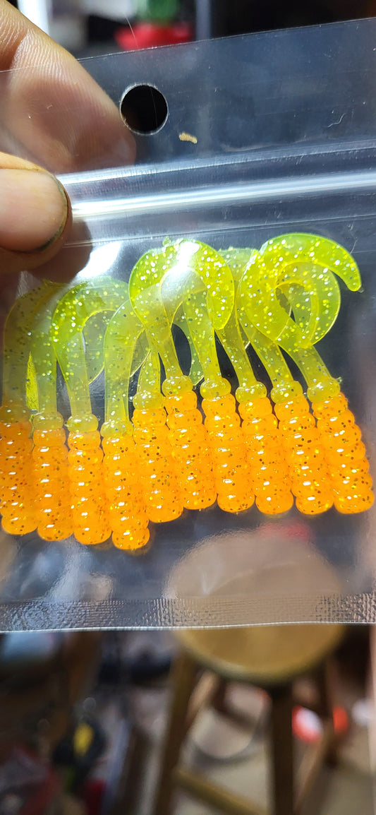 Curly Tail Grub