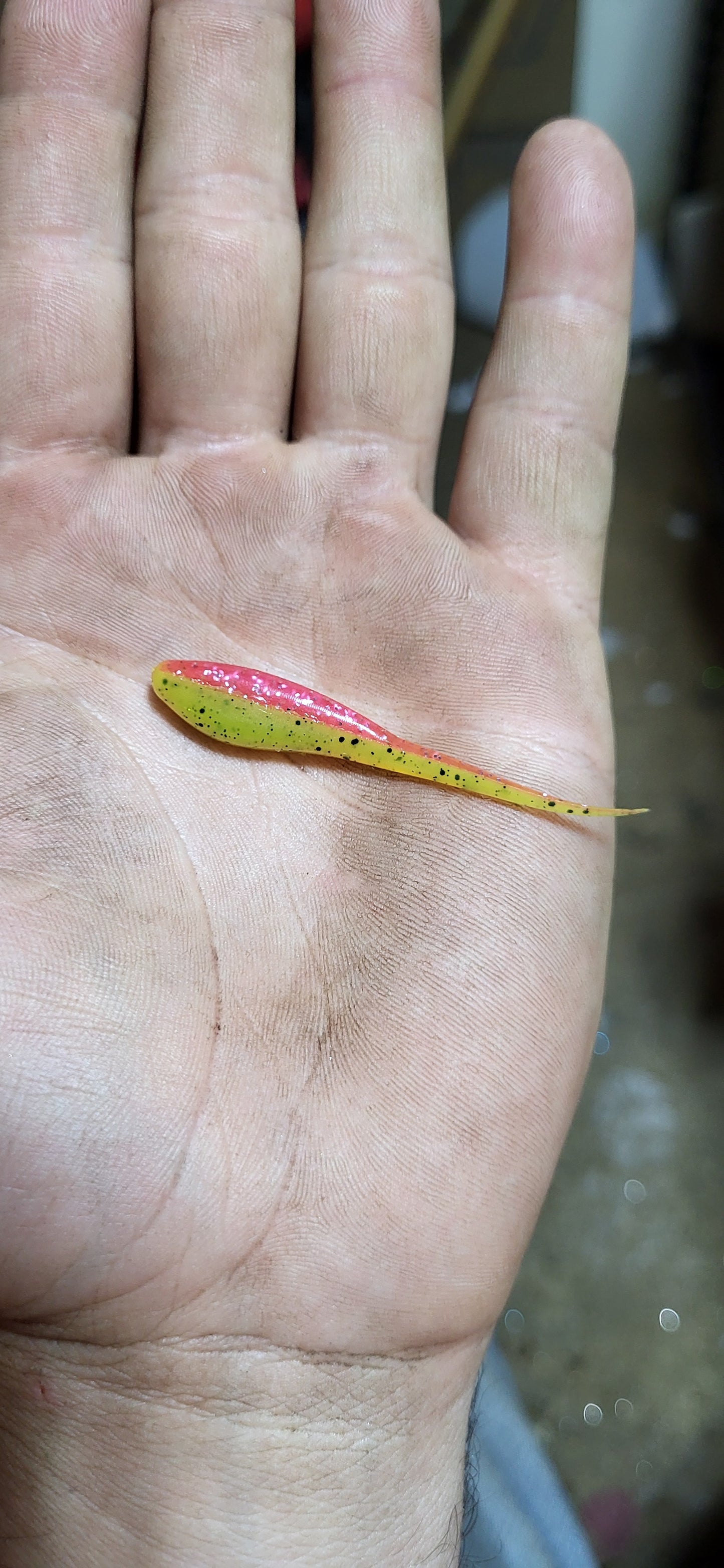 2.25" Stinger Minnow